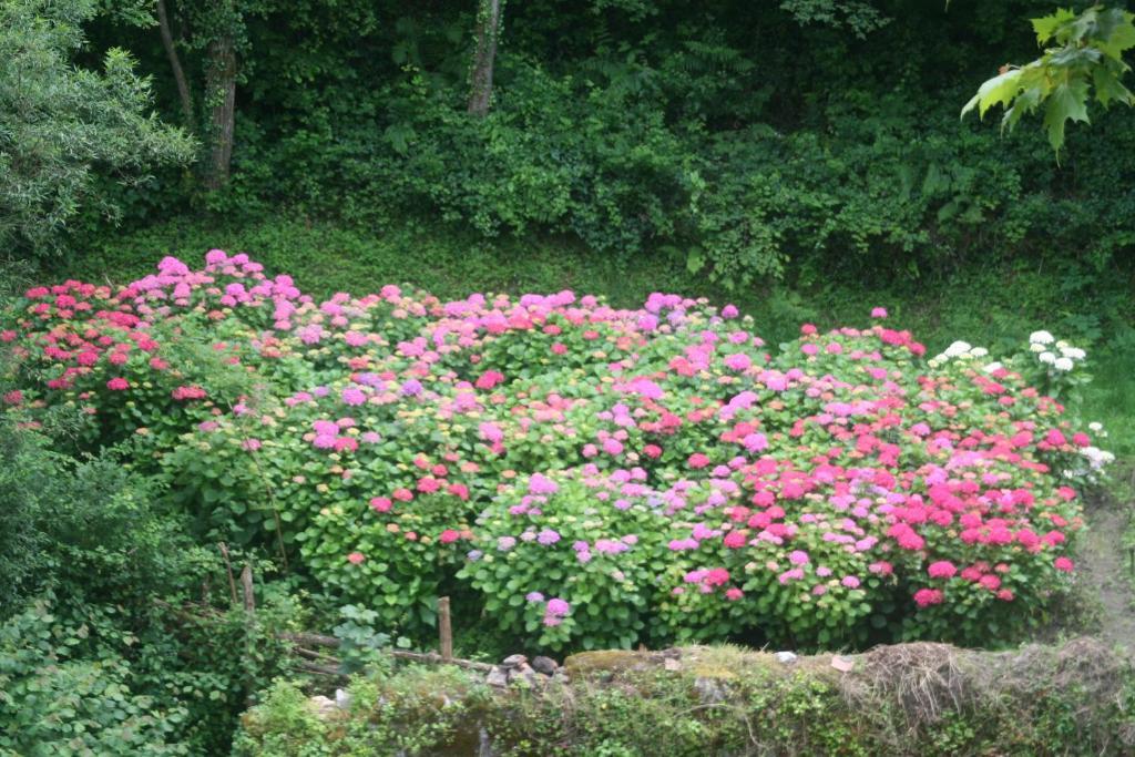 Hotel Rural Bereau Lesaka Zewnętrze zdjęcie